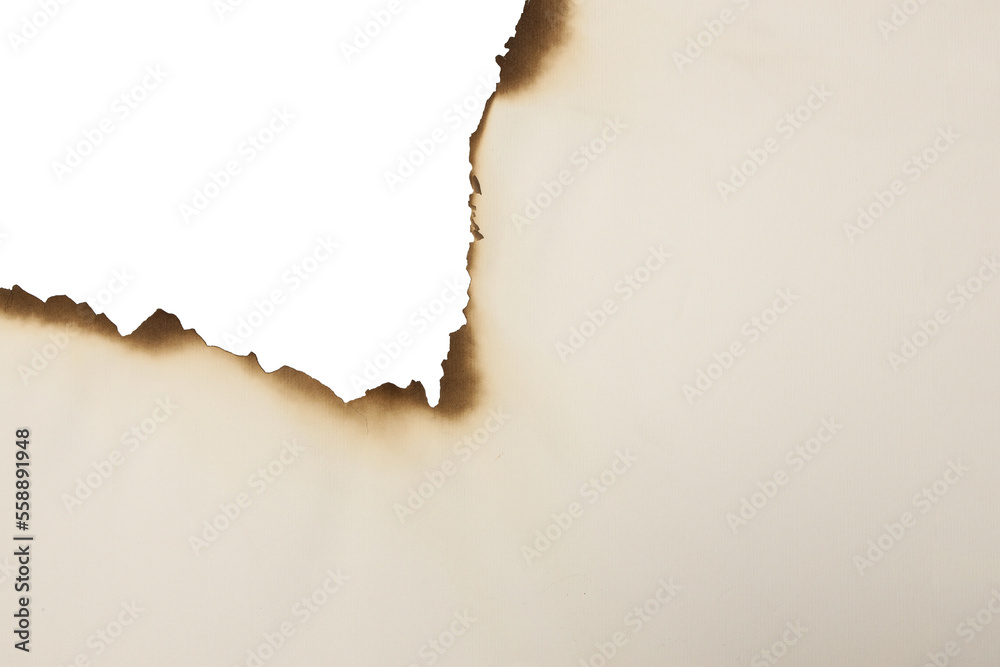 burn paper texture piece torn burned edge burn paper texture piece torn burned edge