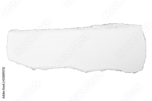 torn paper texture piece ripped border edge sheet 