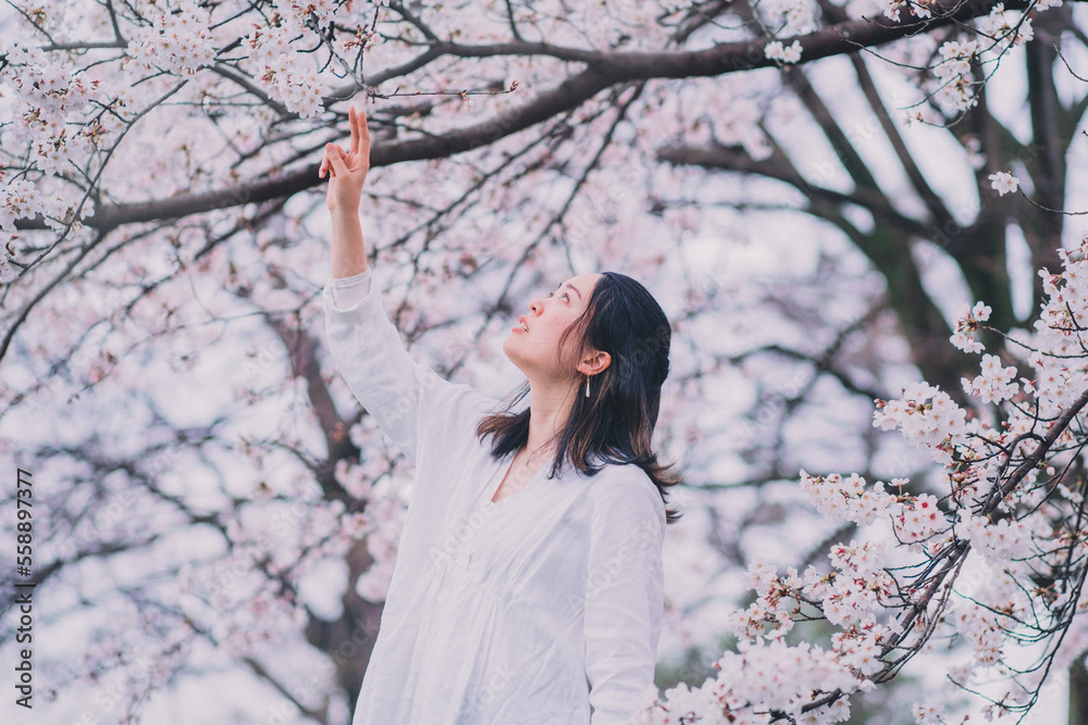 桜と女性 桜と女性