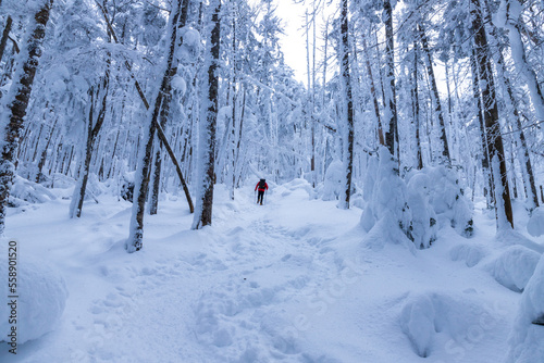 雪の北八ヶ岳 縞枯山スノーハイク