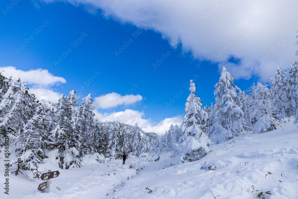 雪の北八ヶ岳 縞枯山スノーハイク