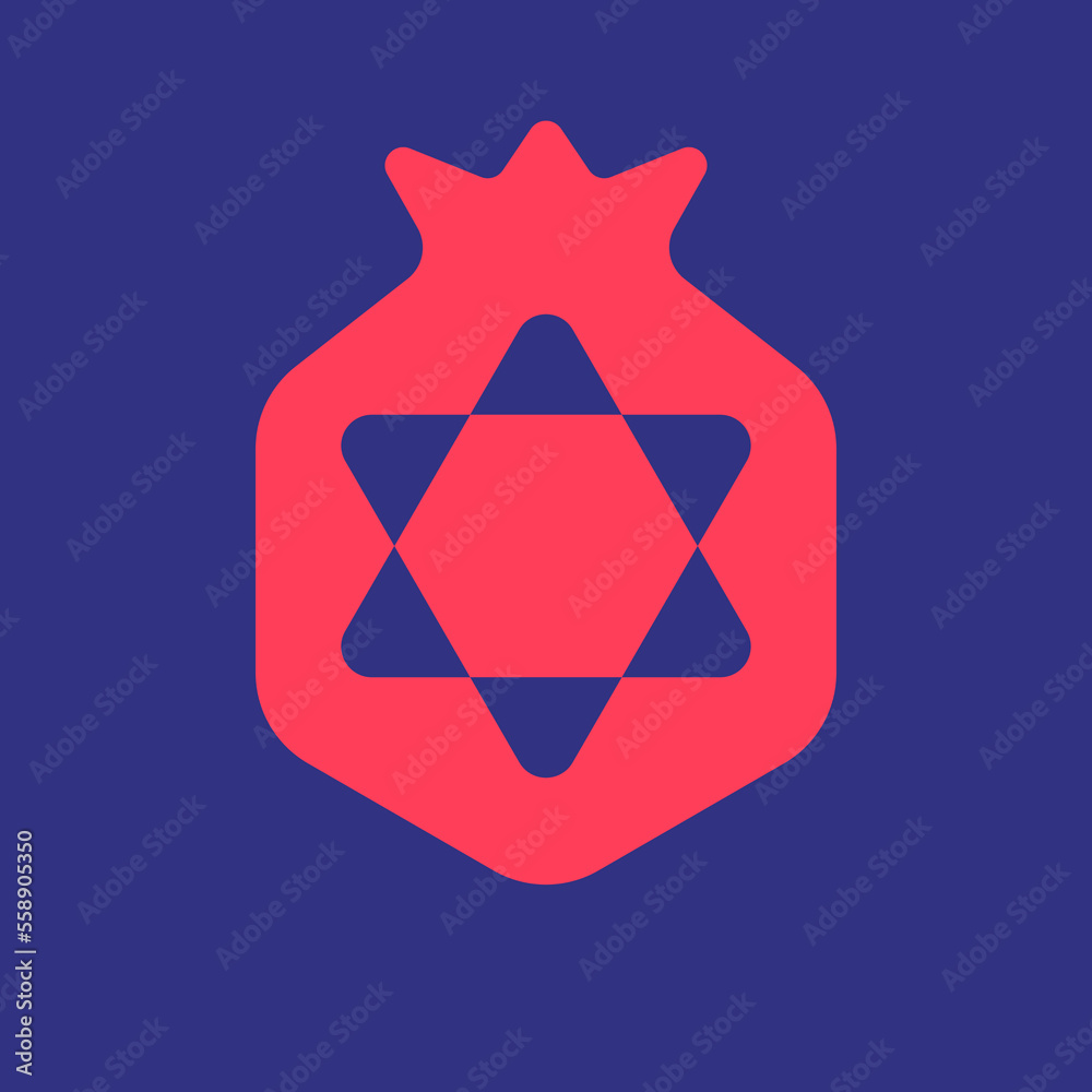 Simple icon pomegranate with star of David in center vector illustration Simple icon pomegranate with star of David in center vector illustration