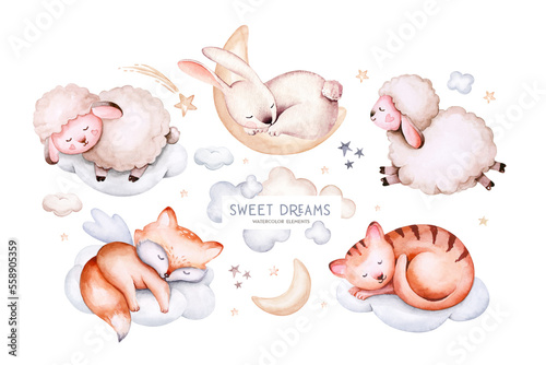 Photography Watercolor elephant animal illustration of a cute baby sheep, lamb, sleeping rabbit and bunny, koala and deer fawn on the moon and the cloud