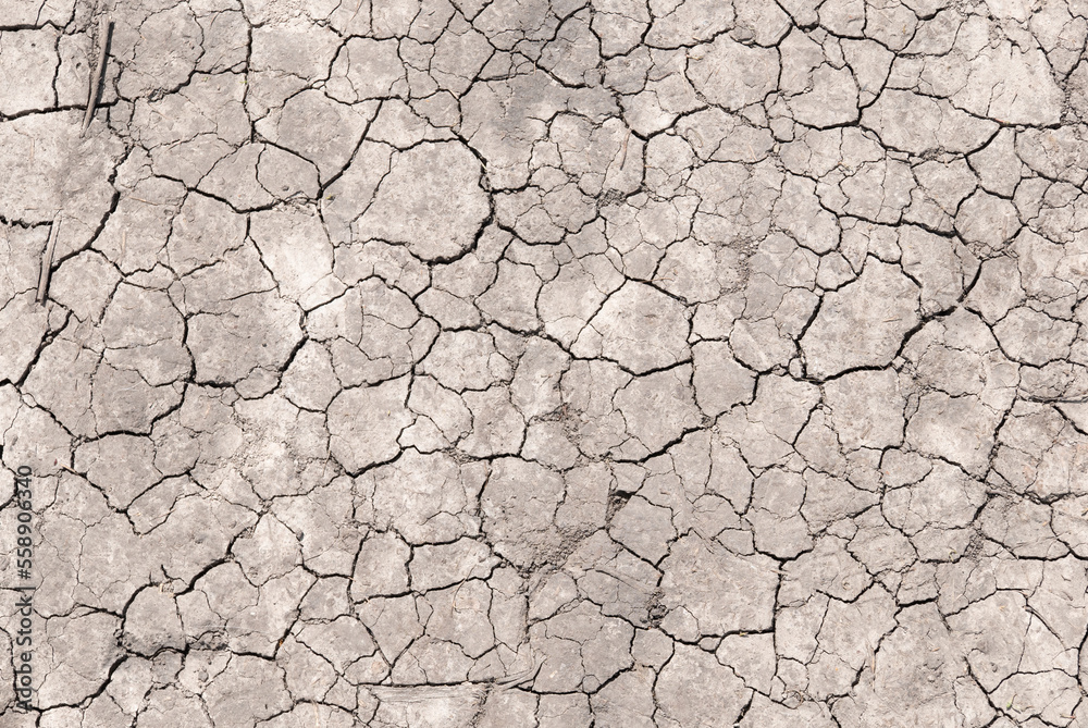 Surface of a grungy dry cracking parched earth for textural background. Surface of a grungy dry cracking parched earth for textural background.