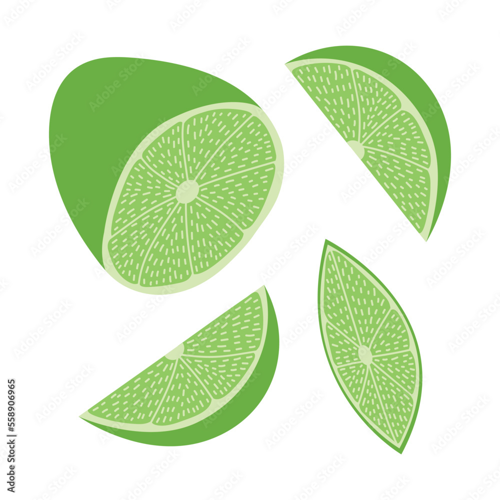 Vector set of lime illustration. Differnet shapes and slices of lime flat style set