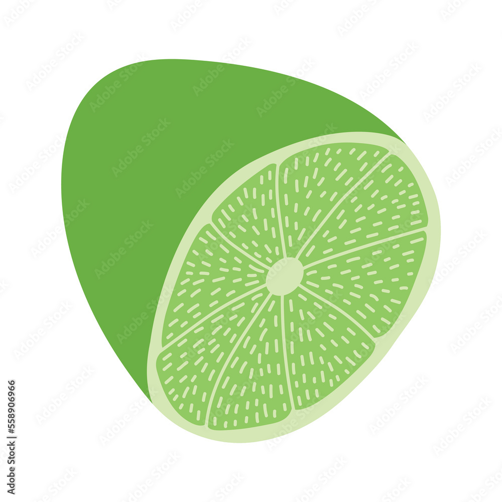 Vector lime in section illustration. Flat style green lime slice Vector lime in section illustration. Flat style green lime slice