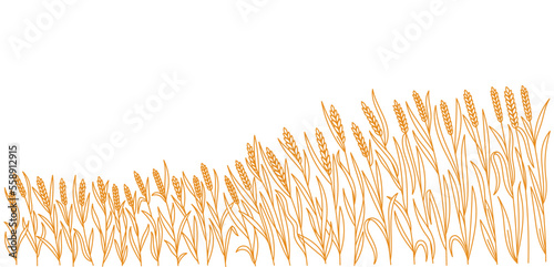 Cereal field. Horizontal banner. Spikelets of wheat. Agriculture wrapper. Vector line. Editable outline stroke thickness.