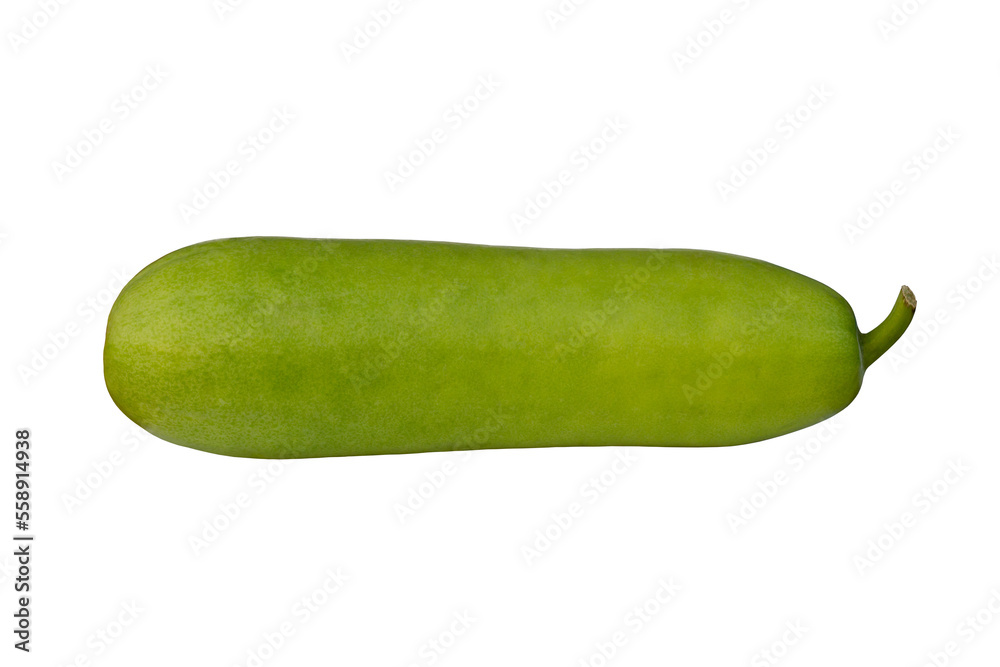 Fresh Winter melon, White gourd, Winter gourd, Ash gourd or Benincasa hispida is a vegetable isolated on white background included clipping path. Fresh Winter melon, White gourd, Winter gourd, Ash gourd or Benincasa hispida is a vegetable isolated on white background included clipping path.