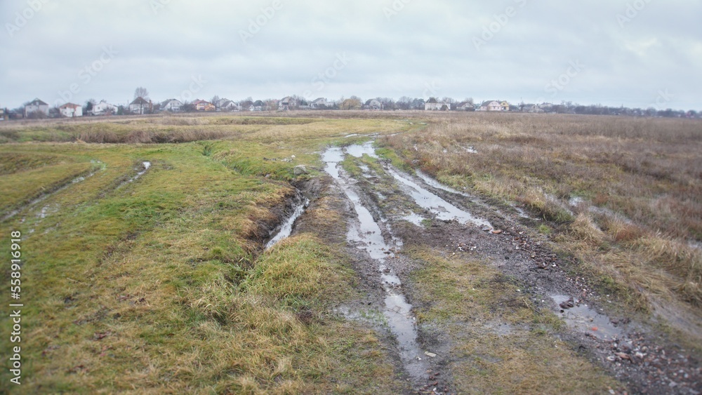 A dirt road with puddles across a field
