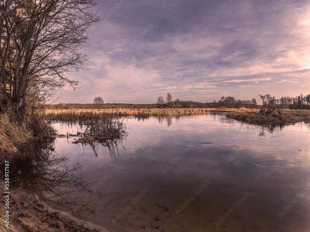 The beginning of a snowless winter on a small river in central Poland The beginning of a snowless winter on a small river in central Poland