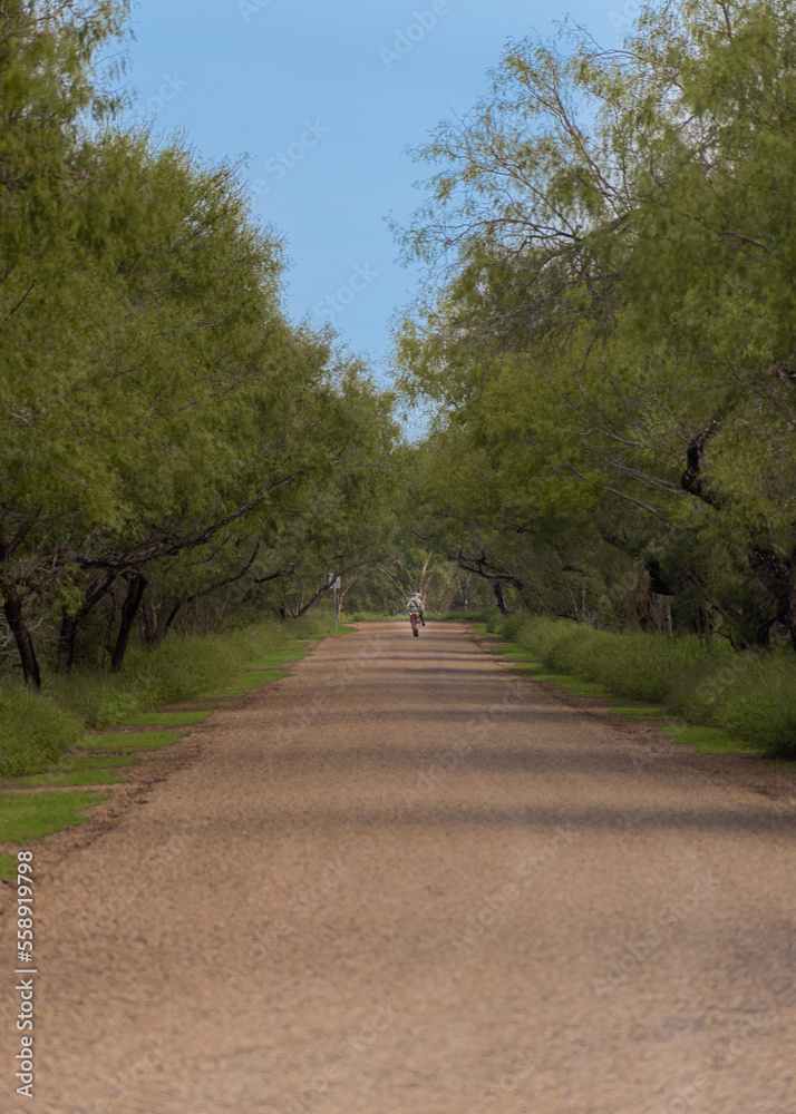 path with a hiker at Bentsen RGV state park