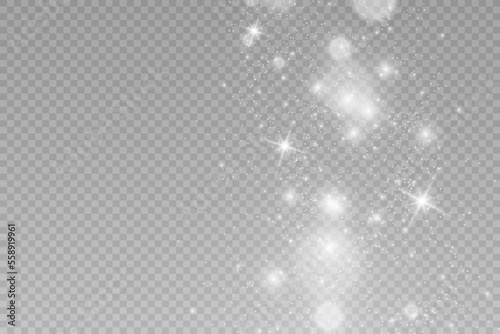   Brilliant gold dust vector shine. Glittering shiny ornaments for background. Vector illustration. 