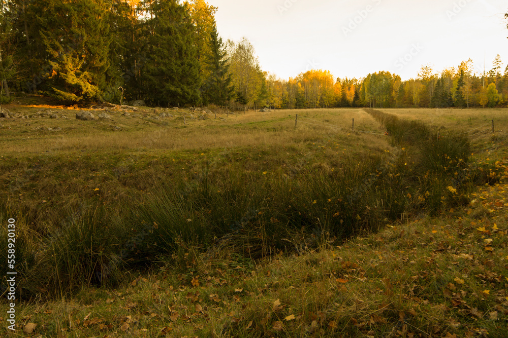 Naklejka premium Landscape