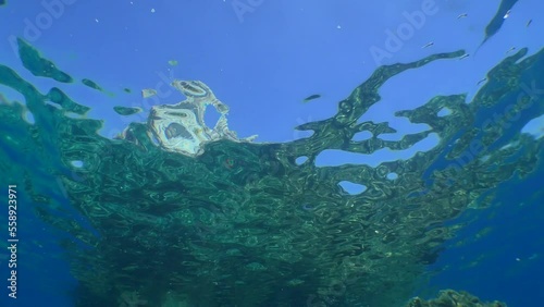 Snorkeling, the camera rises smoothly along a rocky underwater slope and emerges above the surface.