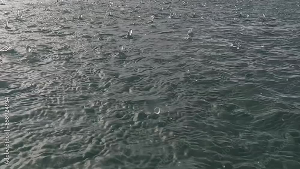 A rainy day in the caribbean sea, jamaica A rainy day in the caribbean sea, jamaica