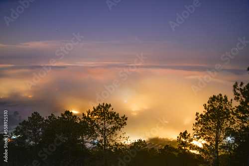 sunset in the forest