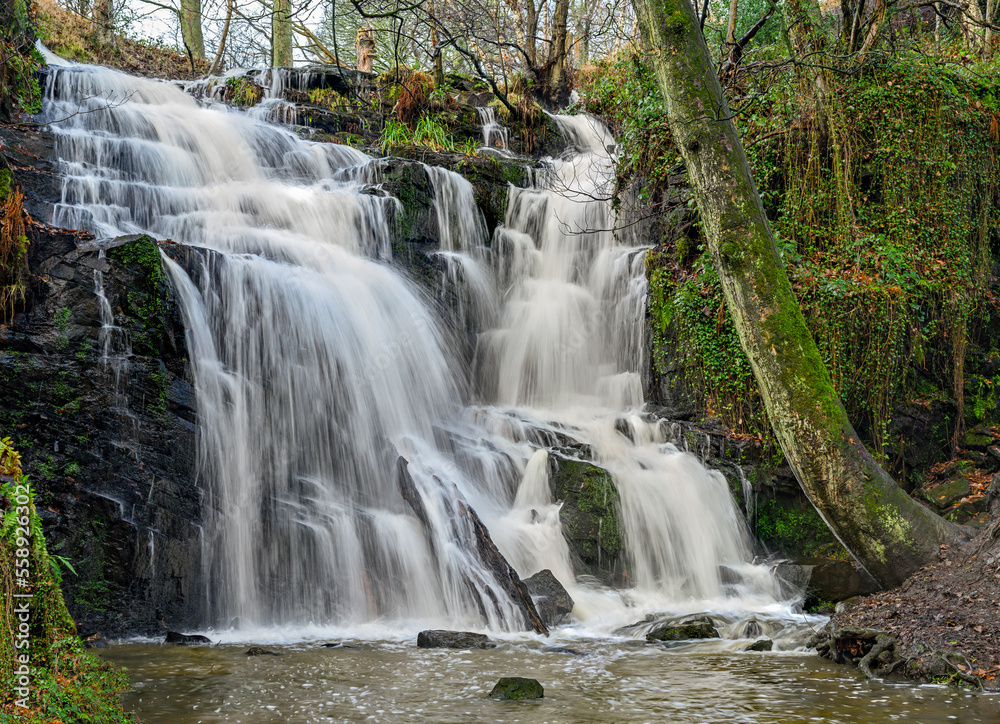 waterfall in the forest waterfall in the forest