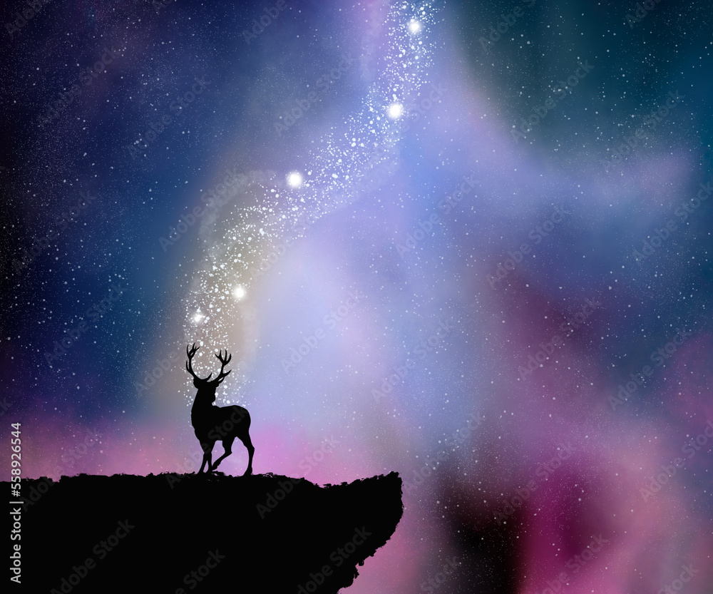Bautiful stars aurora with silhouette cliff and deer