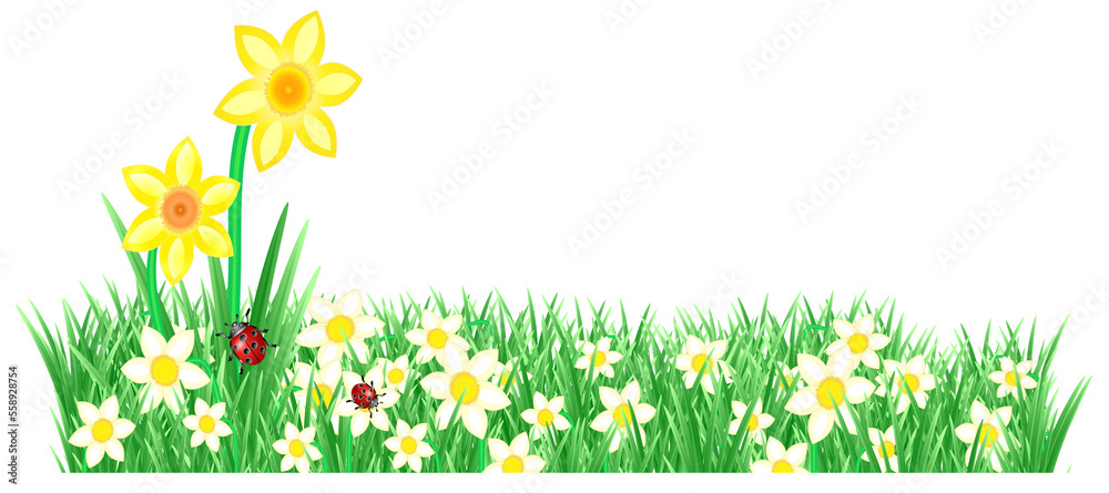 Fototapeta premium Frühling Wiese Banner Ostern