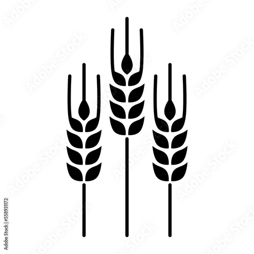 Wheat and agriculture isolated icon
