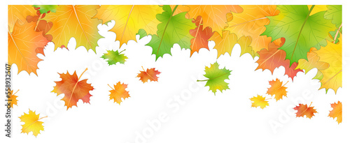 Herbst Blätter Hintergrund Banner