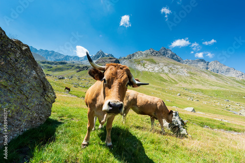 La Romanche photo