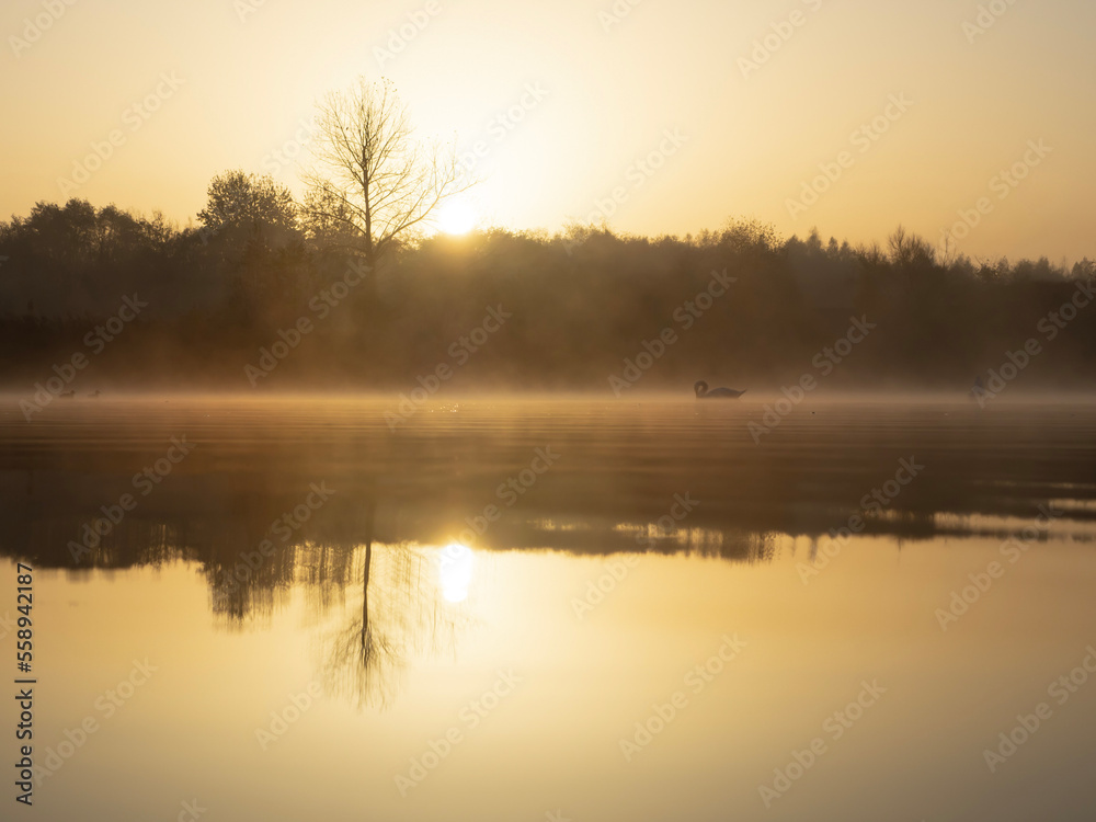 misty morning on the lake