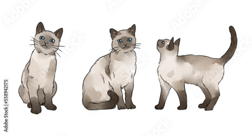 Quadro em tela siamese cats