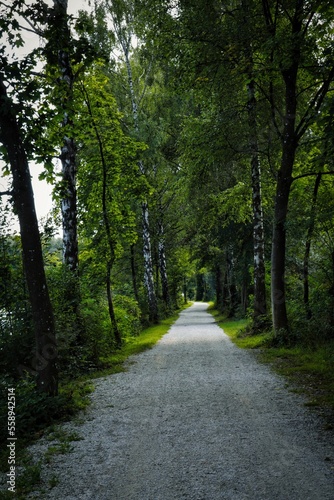 Nature on the Amper river, near Dachau, Bavaria.