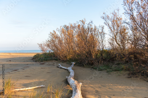Obraz na płótnie Bibione w salonie