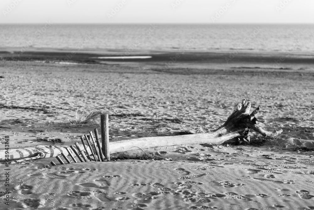 Bibione