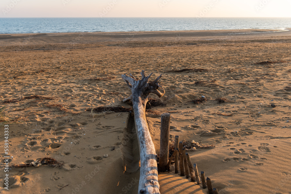 Bibione