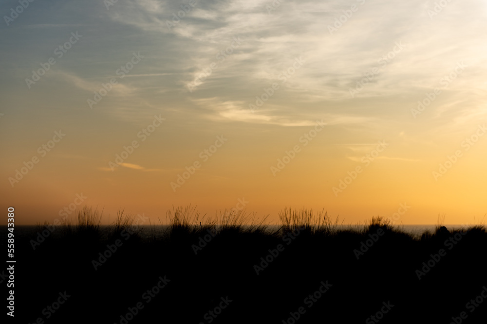 Bibione