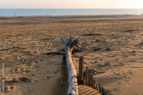 Obraz na płótnie Bibione w salonie