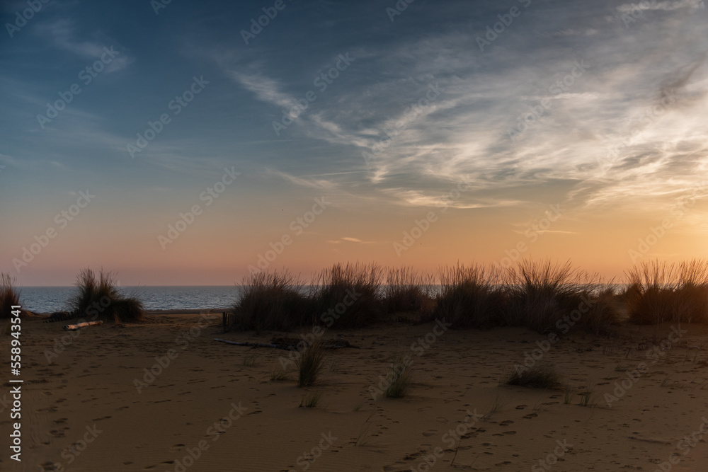 Bibione