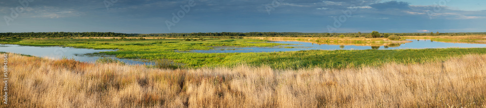 Pastoral landscape on the banks of the river in Belarus