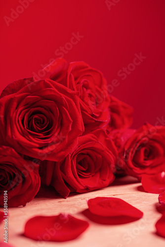 bouquet of red roses on red background