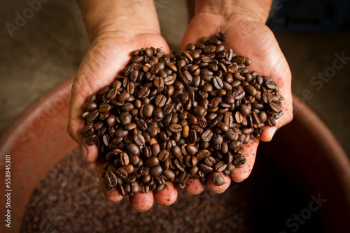 Granos de café tostados
