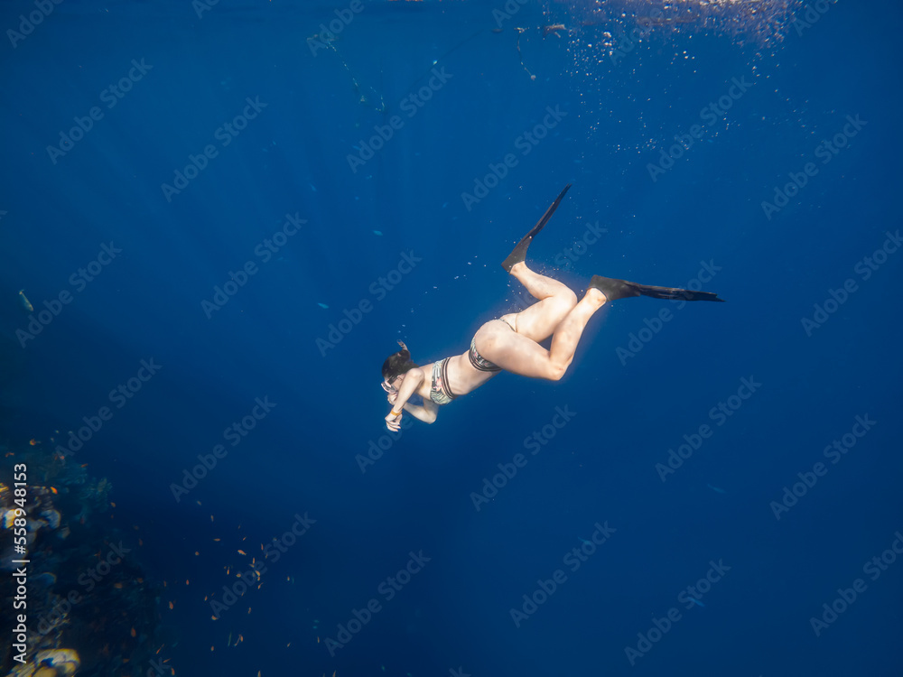 A beautiful girl swims underwater. Girl in swimsuit. Blue water. Coral reef. Diver girl.