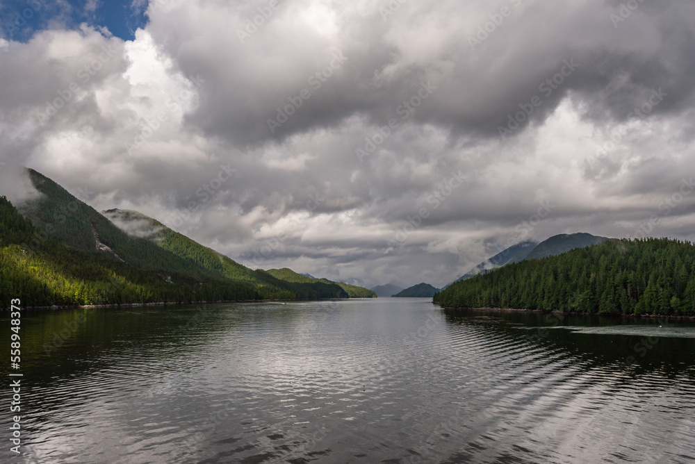 Obraz premium nature sceneries along the Inside Passage Cruise from Port Hardy to Prince Rupert, British Columbia, Canada