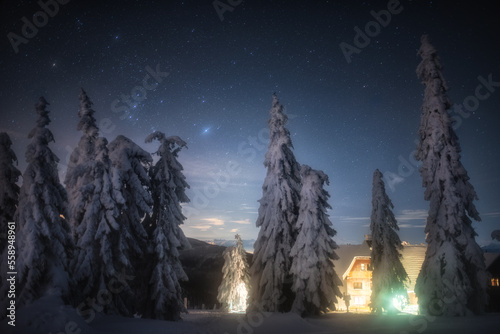 Fototapeta Naklejka Na Ścianę i Meble -  rysianka