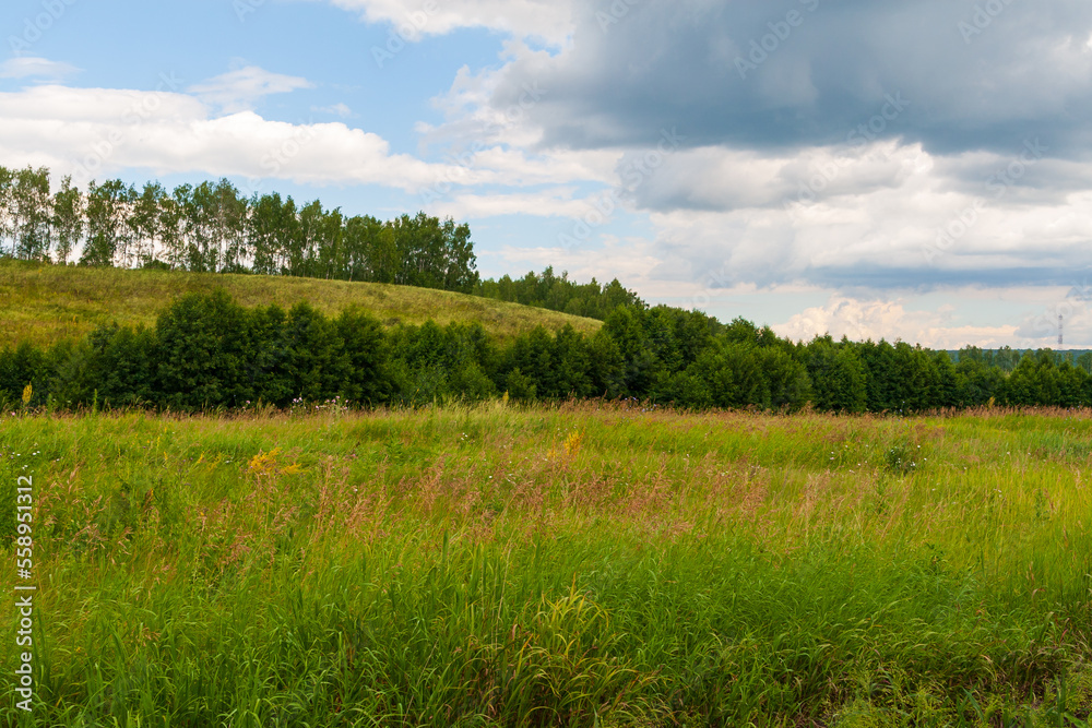 High hay grass against the background of hills and trees. Summer landscape. High hay grass against the background of hills and trees. Summer landscape.