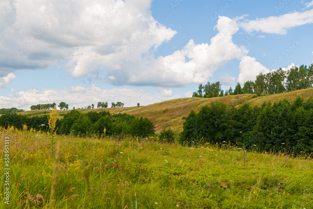 Hayfields in summer. Hilly area with fields and trees. Summer landscape.