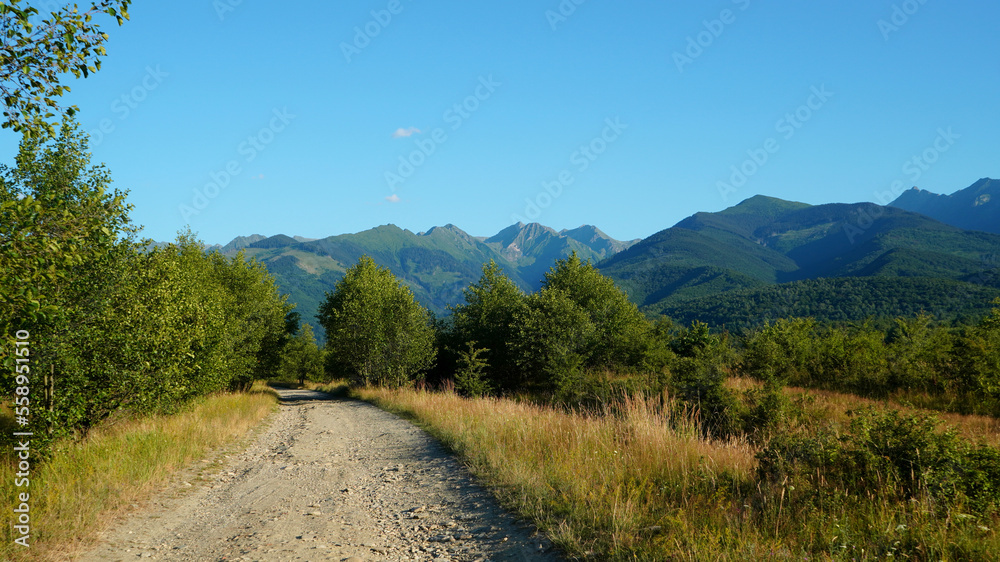 Forestry road towards Fagaras Mountains in Southern Carpathians in Transylvania, Romania. Natural landscape with mountains range, forest, grassland and forestry grovel road.