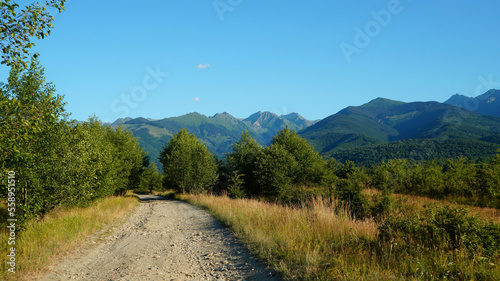 Forestry road towards Fagaras Mountains in Southern Carpathians in Transylvania, Romania. Natural landscape with mountains range, forest, grassland and forestry grovel road. photo