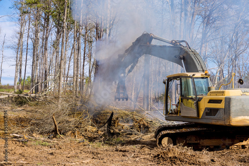 Build houses complex  it is necessary to clear land burning trees that have been uprooted for purpose of building