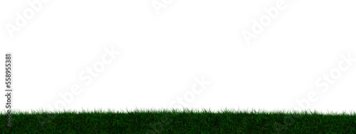 Grass transparent illustrat...