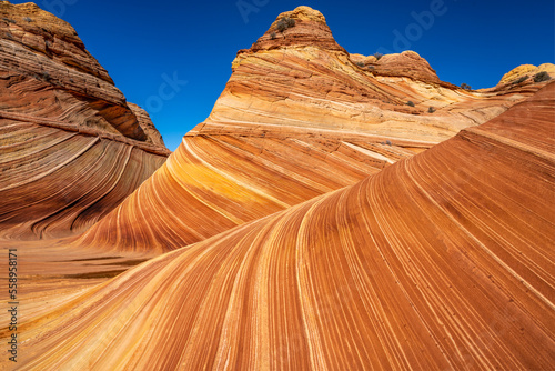 The Wave  Vermillion Cliffs National Monument  Arizona  America  USA.