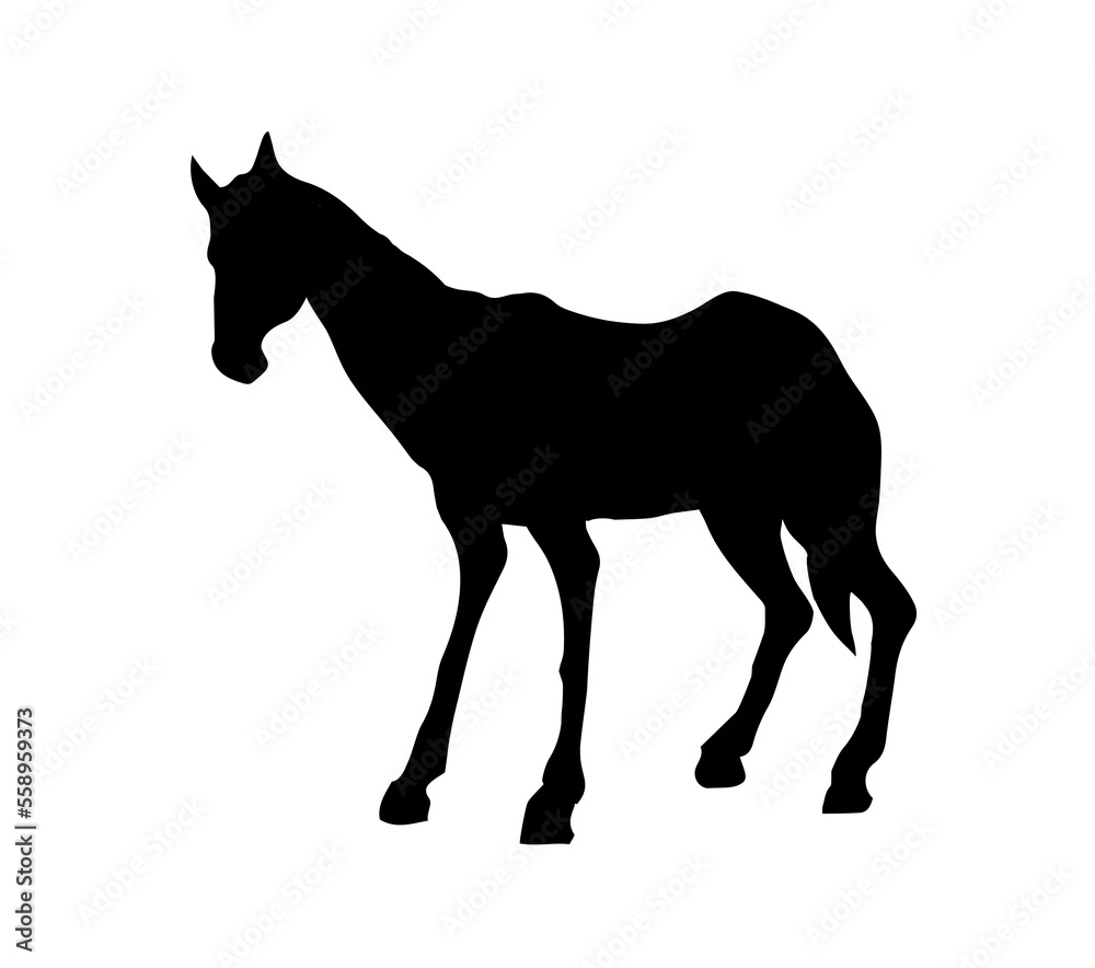 Starving skinny horse. Vector drawing