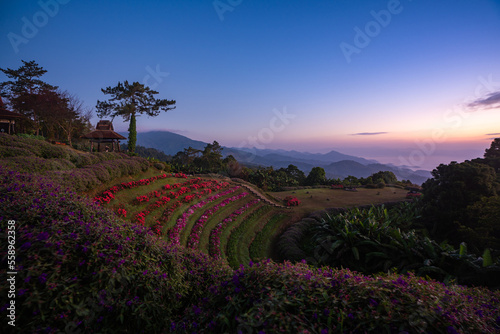 Twilight view from Huai Nam Dang National Park in the morning, Kuet Chang, Mae Taeng District, Chiang Mai, Thailand photo